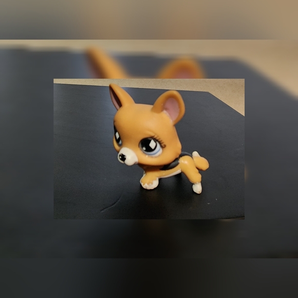 Authentic Littlest Pet Shop LPS #639 Welsh Corgi Puppy Dog Diamond Eyes 2007 - Picture 1 of 9